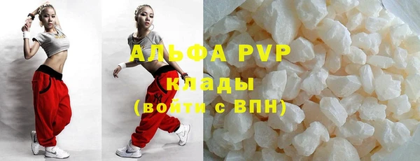 гидра Ельня