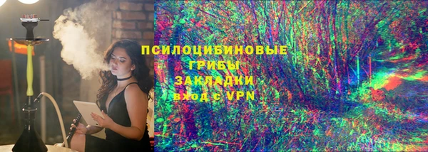 гидра Ельня