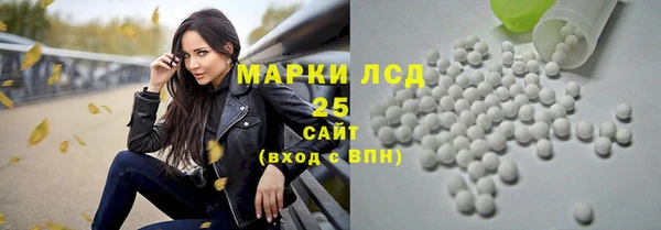гидра Ельня