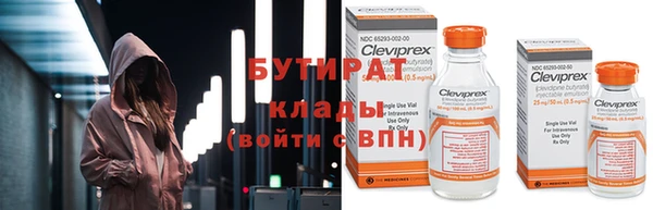гидра Ельня