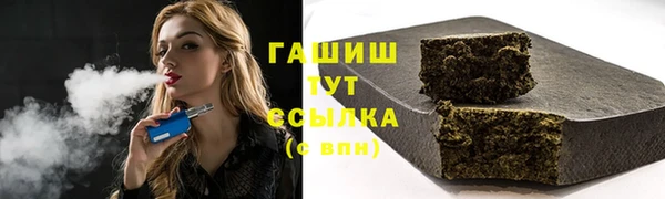 гидра Ельня