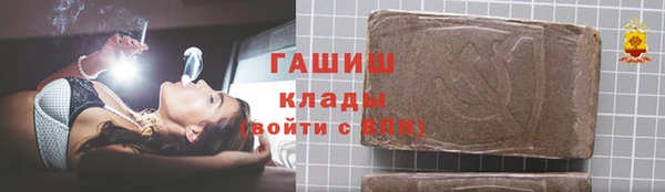 гидра Ельня