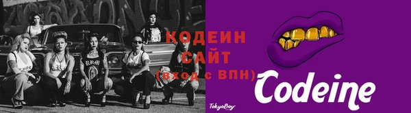 гидра Ельня
