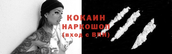 гидра Ельня