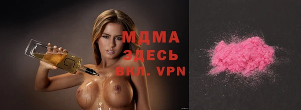 гидра Ельня