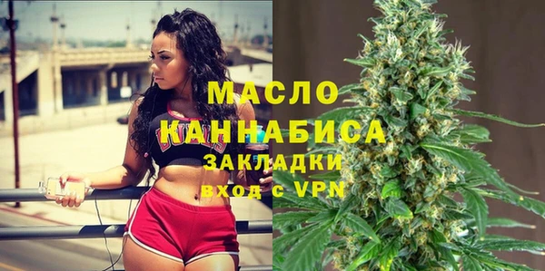 гидра Ельня