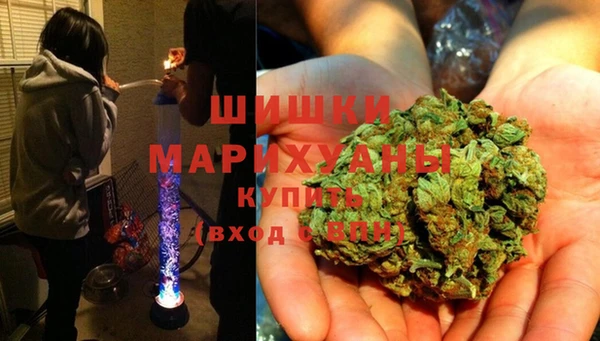 гидра Ельня