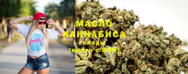 гидра Ельня
