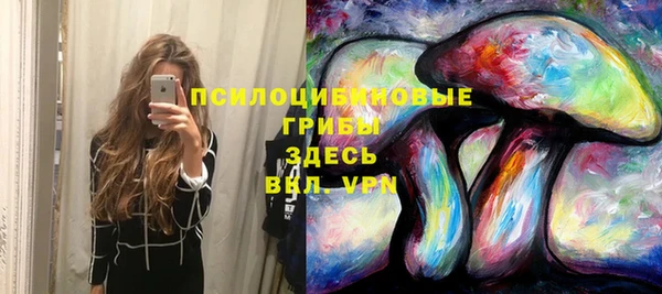 а пвп мука Елизово
