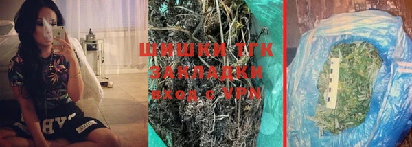 гидра Ельня