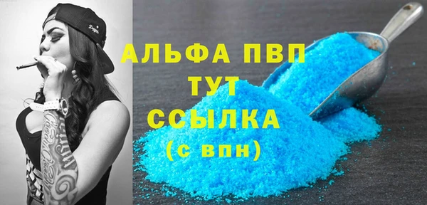 гидра Ельня