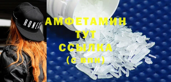 гидра Ельня
