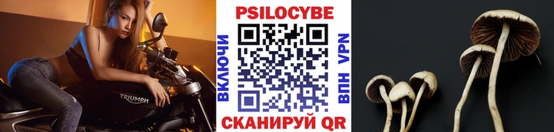 что такое   Иланский  Галлюциногенные грибы прущие грибы 